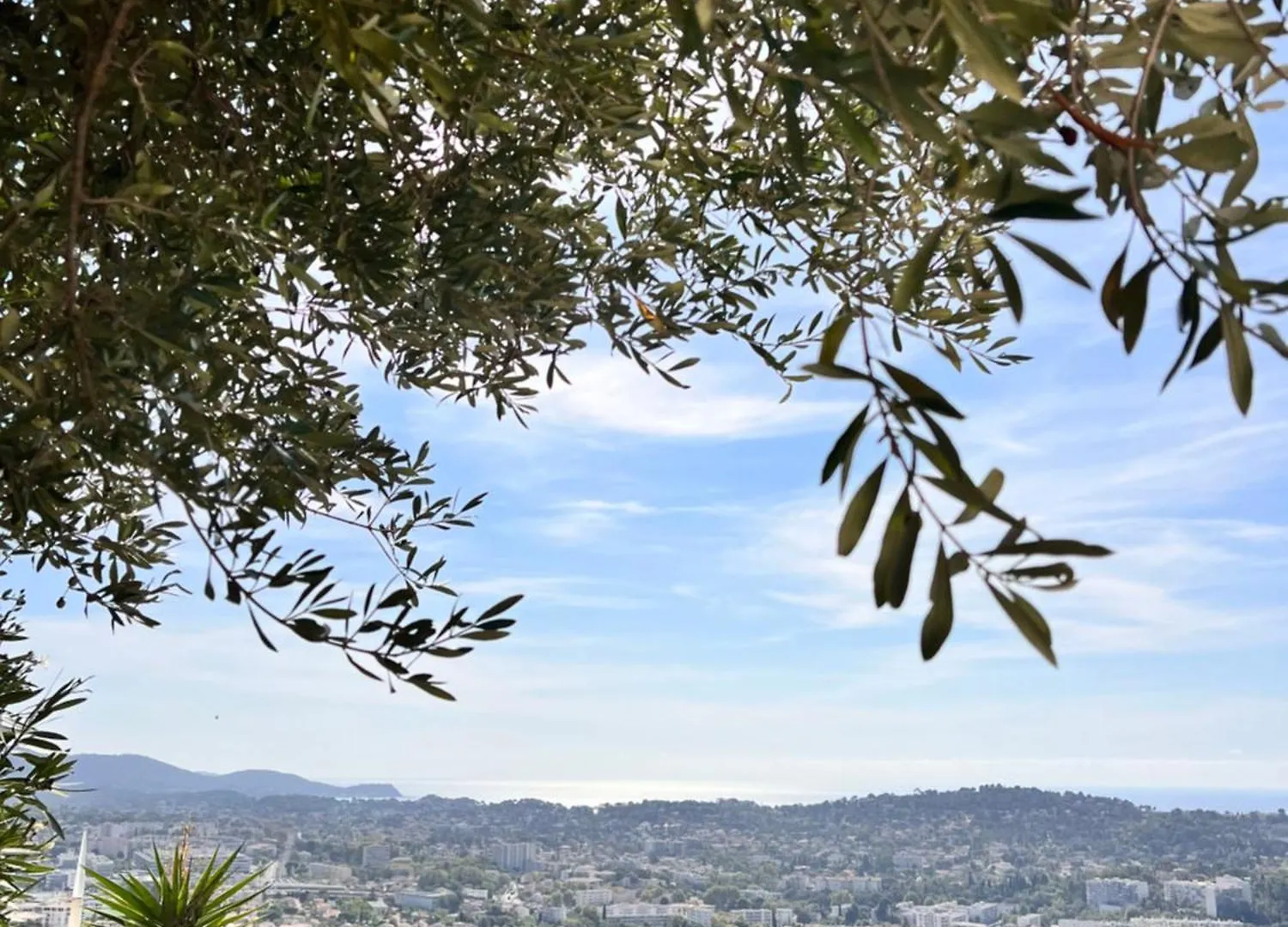 Appartement Avec Vue Mer Panoramique Toulon